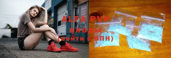 индика Арсеньев