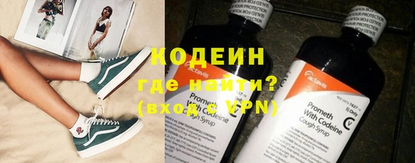 индика Арсеньев