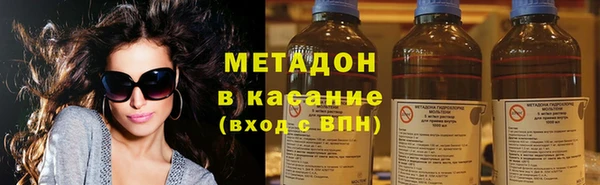 индика Арсеньев