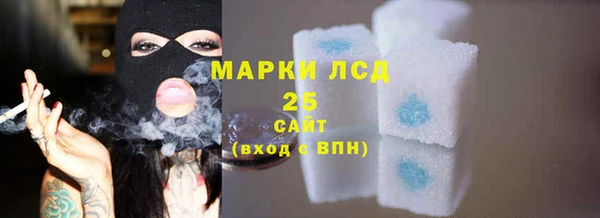индика Арсеньев