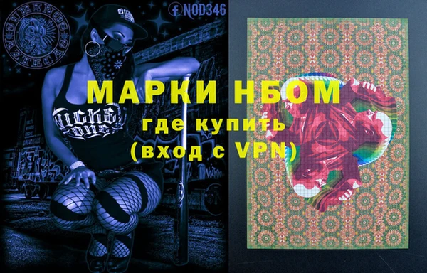 индика Арсеньев