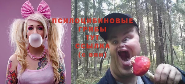 spice Протвино