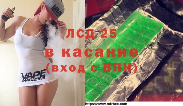 индика Арсеньев
