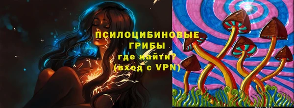 индика Арсеньев