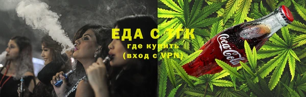 индика Арсеньев